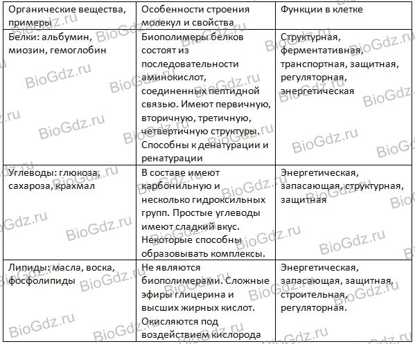 Иллюстрация к материалу «Тема 2.2. Химический состав клетки.»